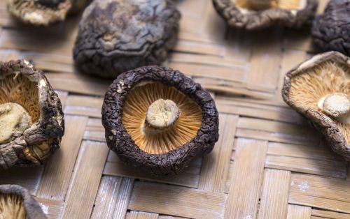 food shiitake mushrooms dried