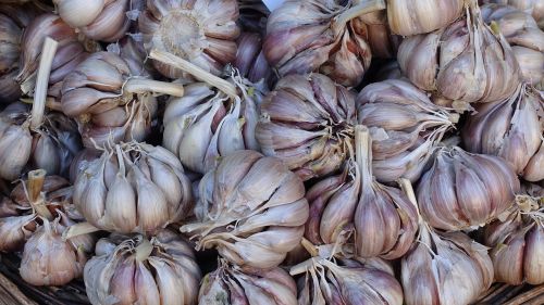 food vegetables garlic