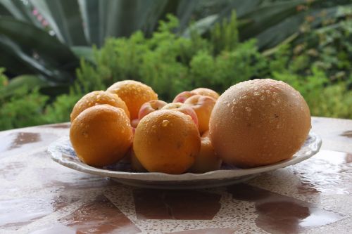 food healthy oranges
