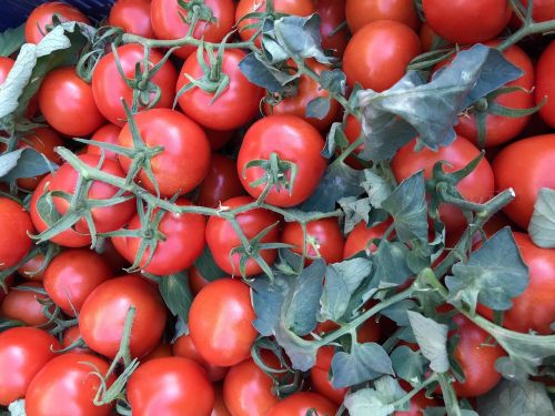 food vegetable tomato