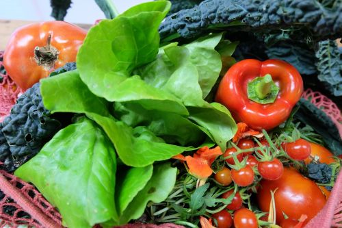 food vegetable in good health