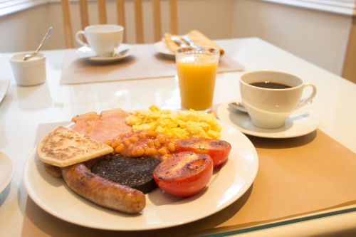 food plate meal