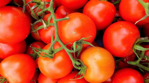 food tomato in good health