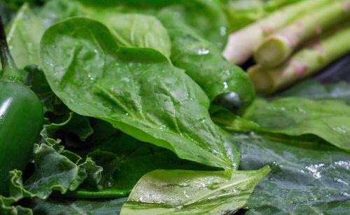 food vegetable leaf