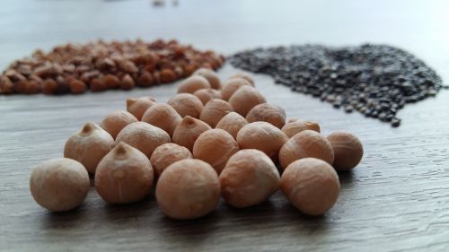 food seed legume