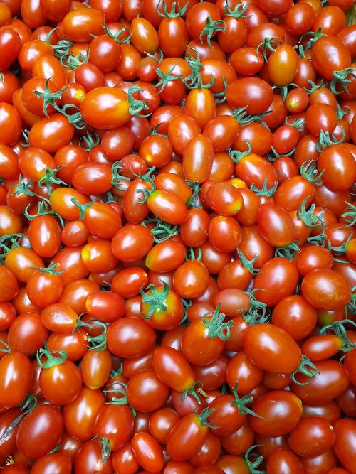 food  tomato  vegetable