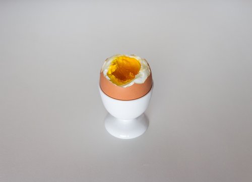 food  egg  protein