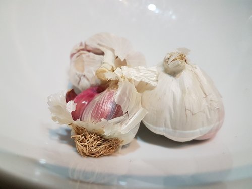 food  still life  garlic