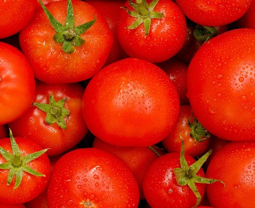 food  tomato  fruit
