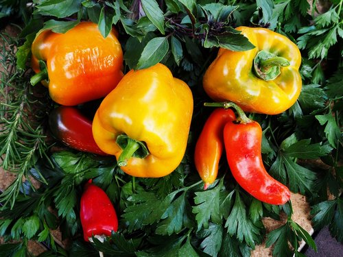 food  vegetable  pepper