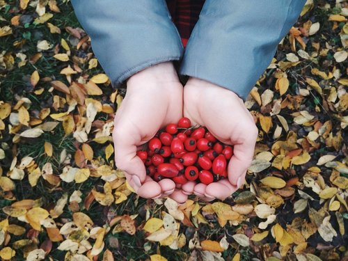 food  fruit  berry