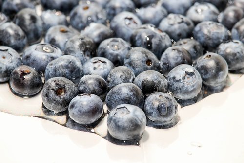food  fruit  blueberry