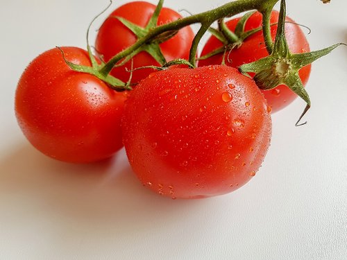 food  healthy  tomatoes