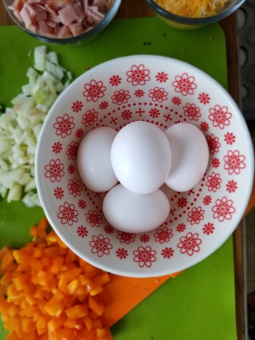 food  bowl  egg