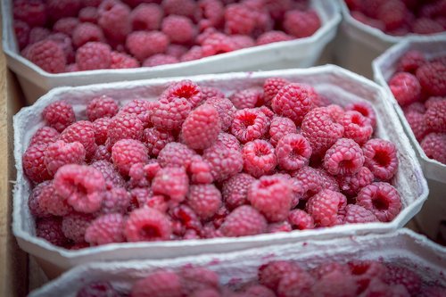 food  raspberries  fresh