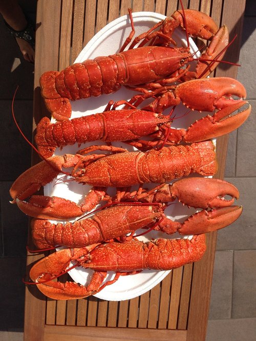 food  lobster  red