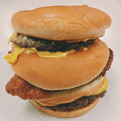 food burger sandwich