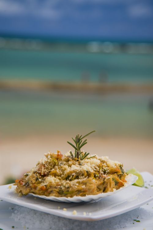 food cone crab beach