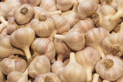food garlic produce