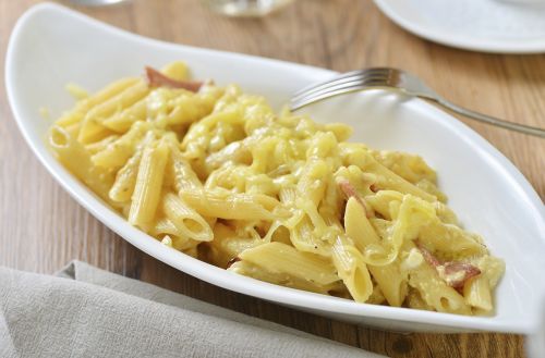 food photography macaroni pasta