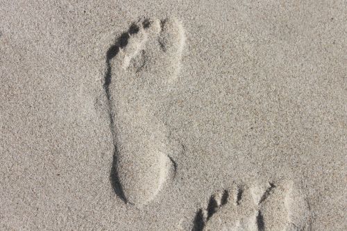 foot human sand