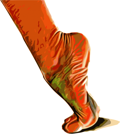 foot muscles motion