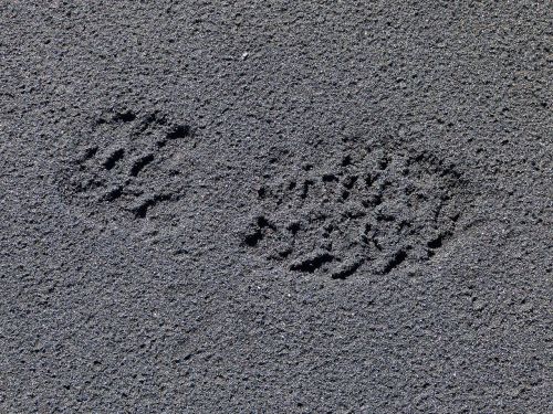 foot trace tracks in the sand
