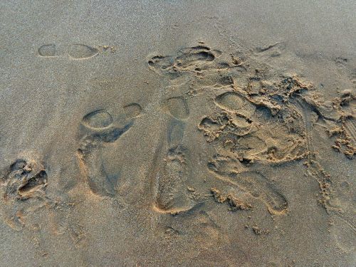 foot prints sea