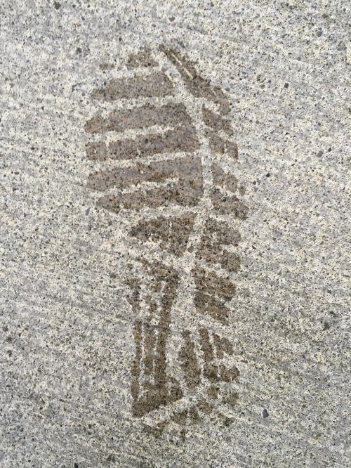 foot print cement grey