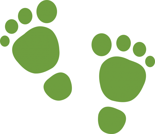 foot prints green feet