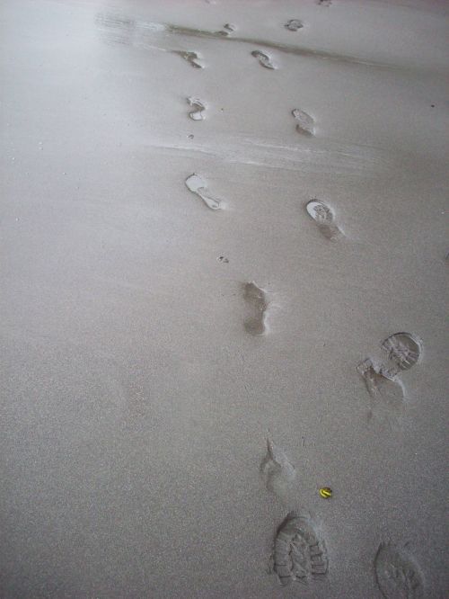 Foot Prints In Sand