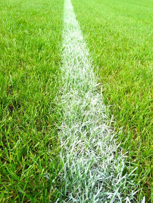 football field line mark