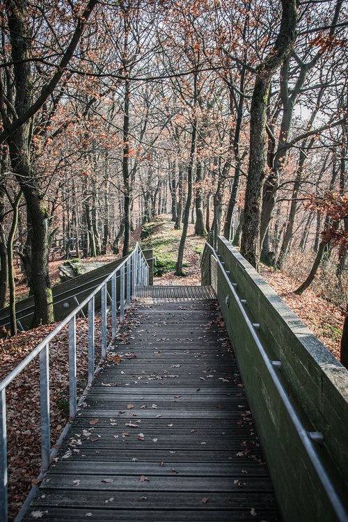 footbridge  path  nature