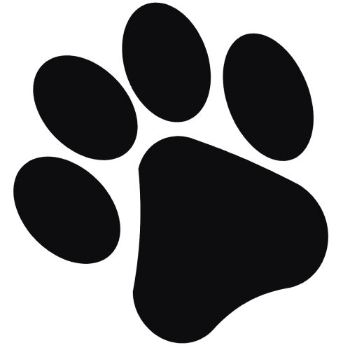 footprint animal cat