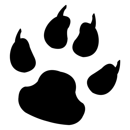 footprint animal dog