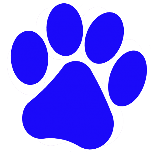 footprint animal cat