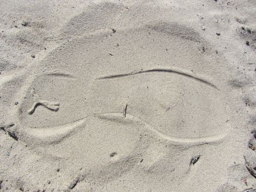 footprint beach traces