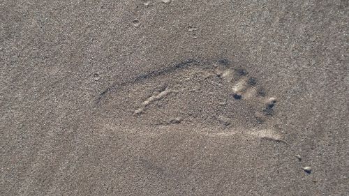 footprint beach foot