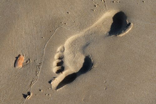 footprint tracks in the sand sand