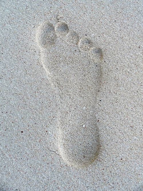 footprint sand beach foot