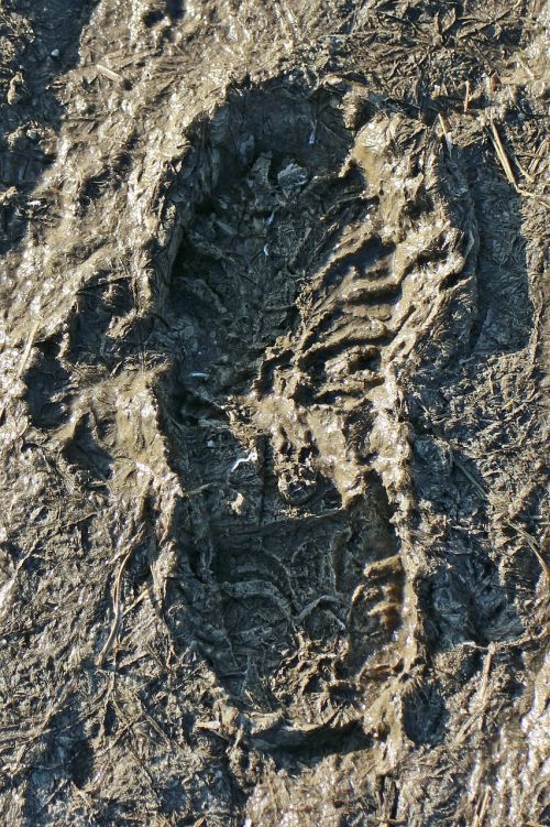 footprint reprint trace