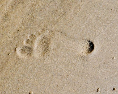 footprint sandy beaches