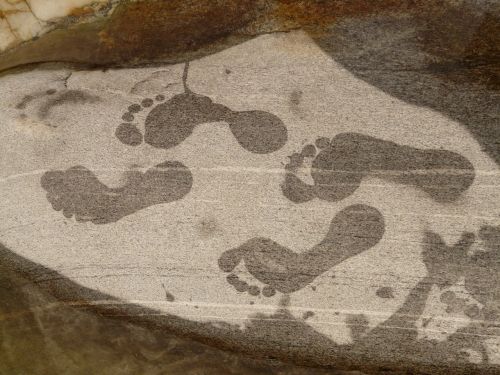 footprint footprints foot