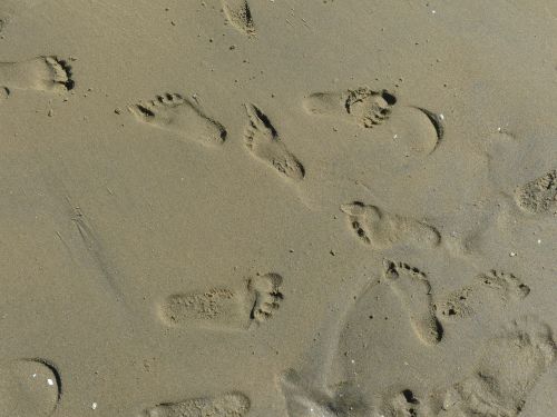 footprint beach sand