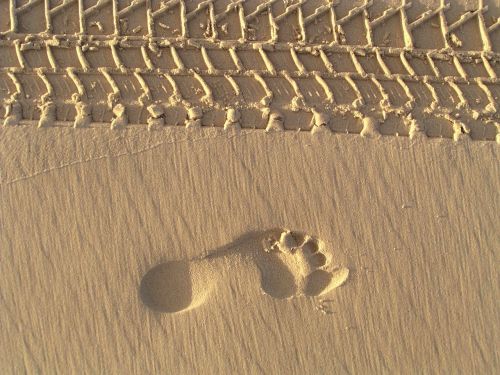 footprint footprints sand
