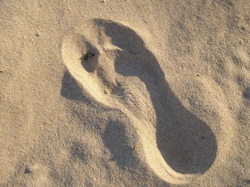 footprint tracks sand
