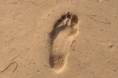 footprint sea beach