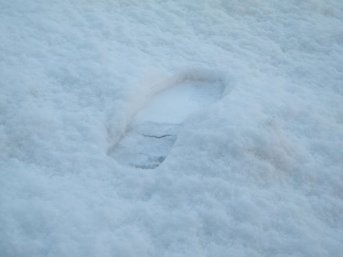 footprint shoe foot