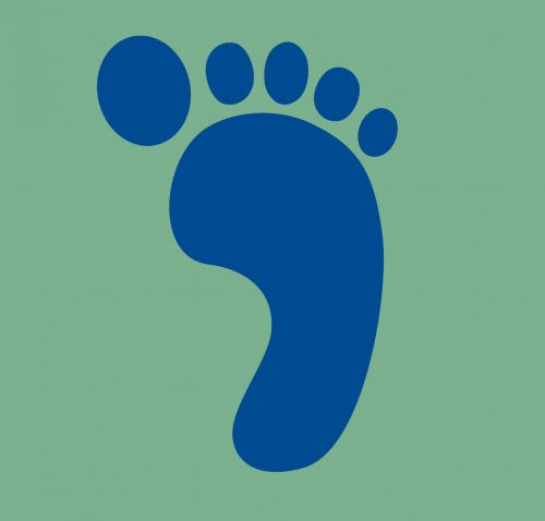 Footprint - Blue And Green