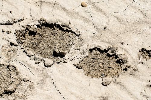 footprint in mud muddy footprint dried mud
